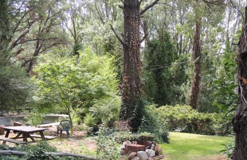 Villa Ventana Chalet De Esquí | Aldea del bosque