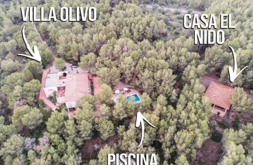 Mont-roig del Camp Cama Y Desayuno | AldeaMia, Forest, mountain view, beach at 8 min