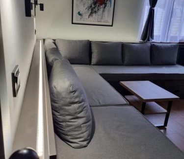 Kopaonik Apartamento | ALEGRA Bela reka C118, Brzeće