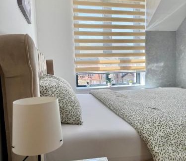 Soko Banja Apartamento | Aleksandar apartman Sokobanja