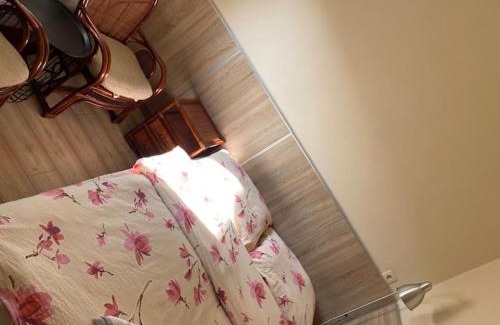 gmina Olsztyn Cama Y Desayuno | aleSpanie