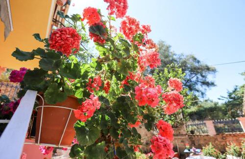 Aleimmatades Apartamento | Alexis & Loula Village House