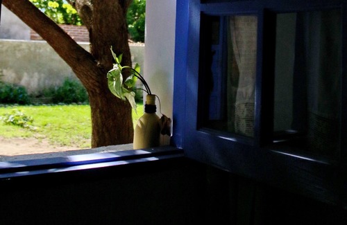 Cafayate Cama Y Desayuno | Algarroba B&B