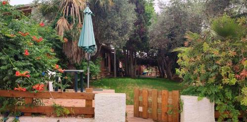Alghero Apartamento | Alghero Guest House - Appartamenti in Seminterrato in Villetta di Campagna, Piscina fuori terra a 4 minuti di auto dalla città
