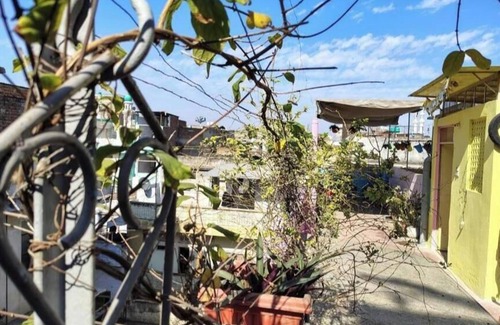 Pink City Apartamento | Ali Baba Hostel -Deluxe Double Room