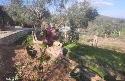 Selcuk Otro | Ali dede kamp karavan bungalow