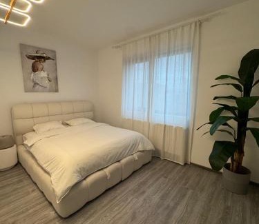 Buzau Apartamento | Alia Residence