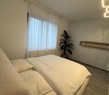 Buzau Apartamento | Alia Residence