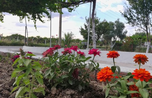 Dalaman Casa | AliBaba Villa Near Airport and Beach
