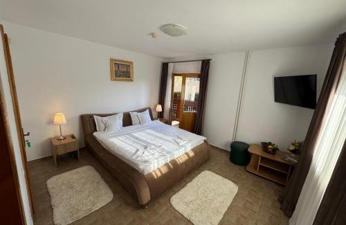 Sinaia Casa | ALISIO