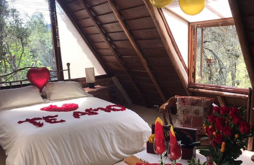 Bogota Cabaña | Aliso Cabin, An Enchanted Place