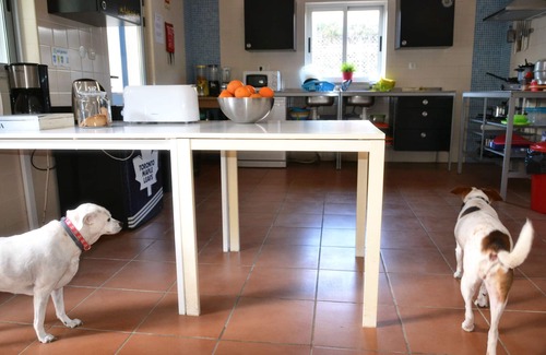 Aljezur Casa | Aljezur Villas