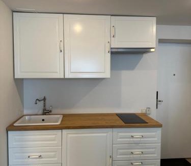 Palanga Hotel | Alka Boutique Apartments & SPA