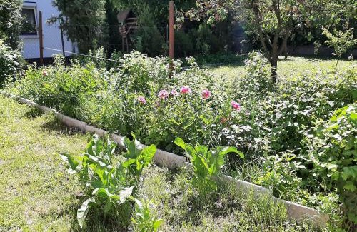 Sashalom Casa | All-in-a Good Space