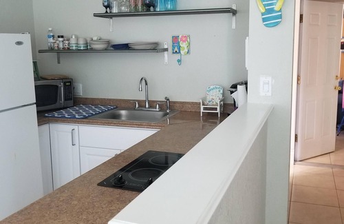 Belleair Bluffs Apartamento | ELLIE'S FUN & SUN ~ MASCOTAS son GRATIS ~ Piscina climatizada / spa ~ Super limpio ~ Capacidad 5