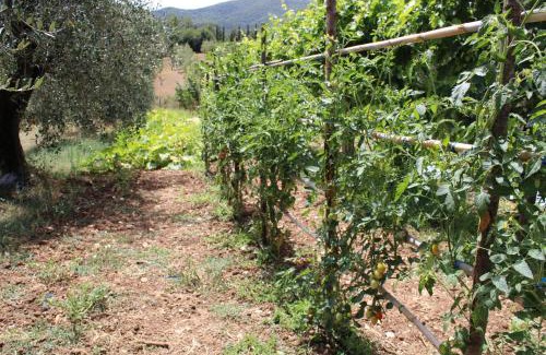 Avigliano Umbrio Casa | Alle Preci Country house