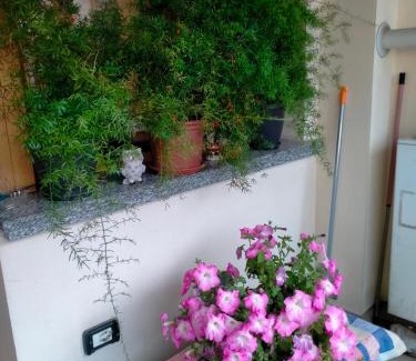 Casaltone Apartamento | Alloggio Livia