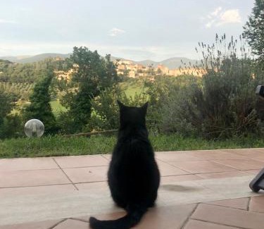 Terni Casa | Alloggio Rurale