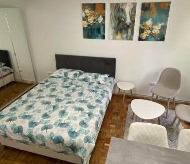 Kragujevac Apartamento | Alman apartman