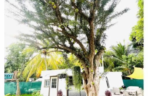 Los Cobanos Casa | Almendra Beach Place