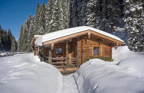 Hochfugen Apartamento | Almnest in Hochfügen mit privat SPA