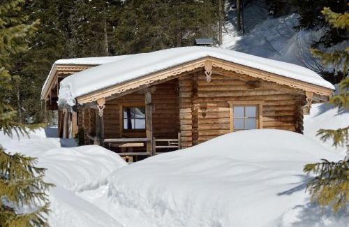 Hochfugen Apartamento | Almnest in Hochfügen mit privat SPA