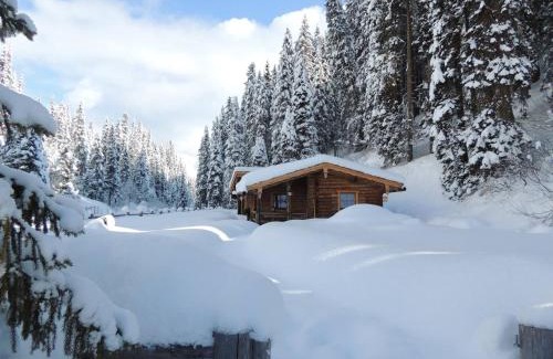 Hochfugen Apartamento | Almnest in Hochfügen mit privat SPA