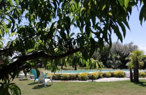 Ortona Casa | Almond tree. Rustic 7/9 p. country house with pool and garden