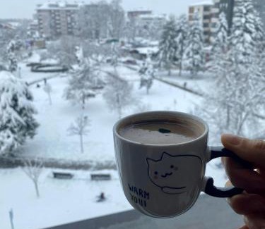 Krusevac Apartamento | Alo Alo Apartman 6