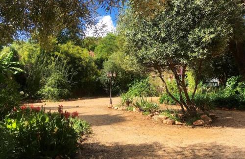 Klerksdorp Cama Y Desayuno | Aloe Guesthouse Klerksdorp