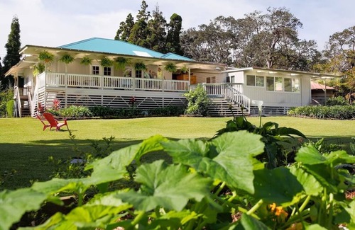 Volcano Casa | Aloha Junction Guesthouse Suites, stay and explore Kilauea Volcano Hawaii.