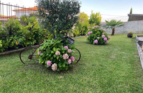 Mirandela Casa | Alojamento, Chelas Rural AL