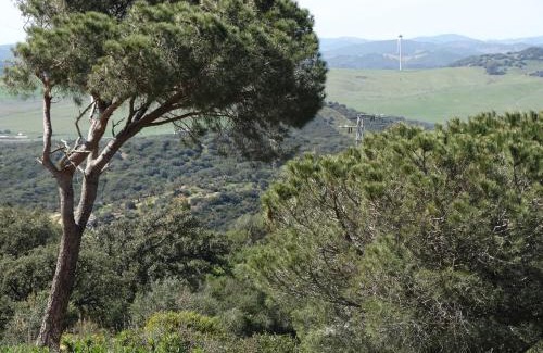 Alcala de los Gazules Apartamento | Alojamiento Rural El Lario