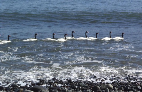 Chaiten Cabina | Alojamiento junto al mar