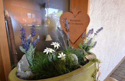 Hirschegg Apartamento | Alp-Chalet