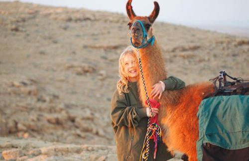 Mitzpe Ramon Casa | Alpaca Farm - חוות האלפקות
