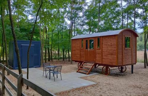 Helvecia Otro | Alpacacamp