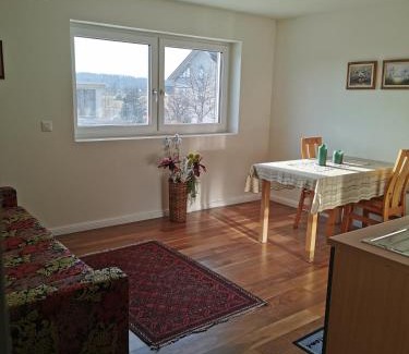 Oberbuchsiten Casa | Alpenblick Ferienwohnung und Monteurzimmer