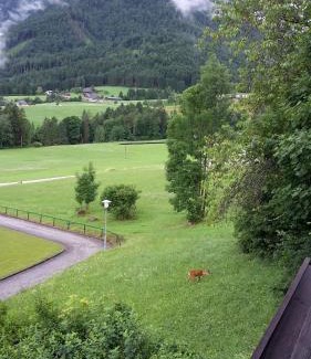 Bad Aussee Apartamento | Alpencottage Bad Aussee