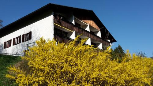 Bad Aussee Apartamento | Alpencottage Bad Aussee