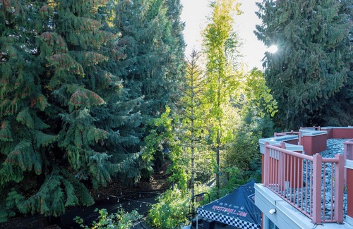 Village North Condominio | Alpenglow Lodge Cozy Studio with Den by MVA