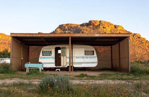 Clanwilliam Otro | Alpha Excelsior Donkey camp
