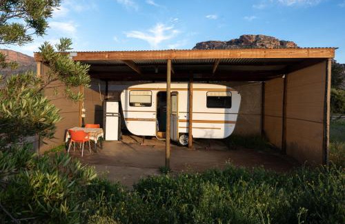 Clanwilliam Otro | Alpha Excelsior Donkey camp