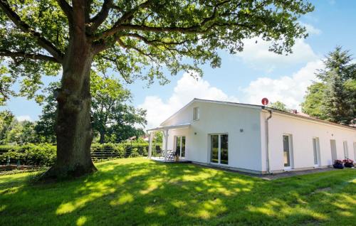 Wentow Apartamento | Alpin 2