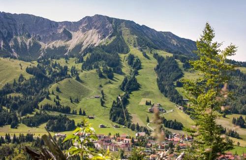 Oberjoch Cabina | Alpin Chalets Oberjoch - Luxus Unterkunft mit privatem SPA und Zugang zu 3000 qm SPA Panoramahotel Oberjoch