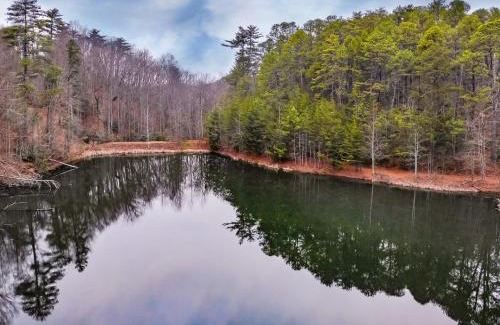 Townsend Casa | Alpine Joy-Hot Tub, Pond Access ,Cozy Cabin Retreat in the Smokies