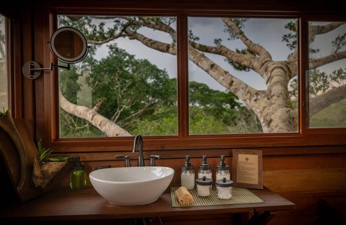 Tambopata Cabina | Alta Sanctuary