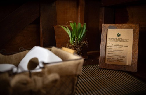 Tambopata Cabina | Alta Sanctuary