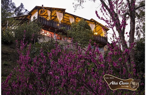 Sorata Cabina | Altai Oasis Lodge