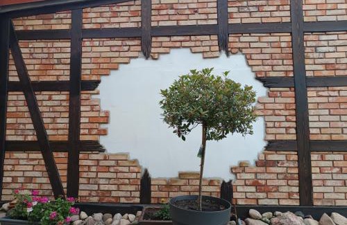 Steckelsdorf Apartamento | Alte Schmiede